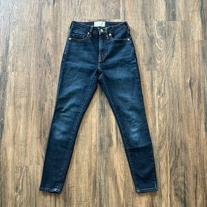 Everlane Blue Skinny Jeans Classic Fit